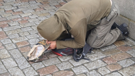 Попрошайка. Что такое попрошайка вещь.