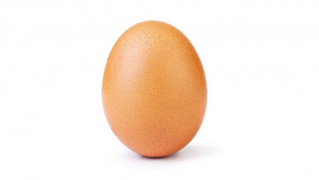 Instagram/world_record_egg